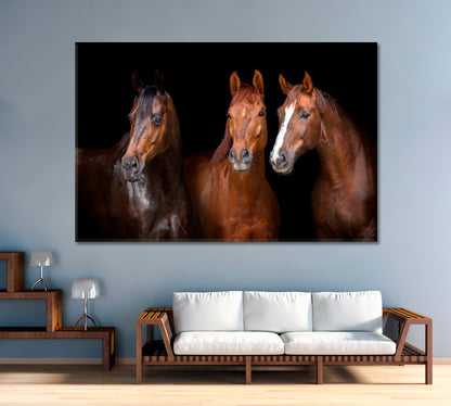 Portrait of Three Graceful Horses Canvas Print-Canvas Print-CetArt-1 Panel-24x16 inches-CetArt