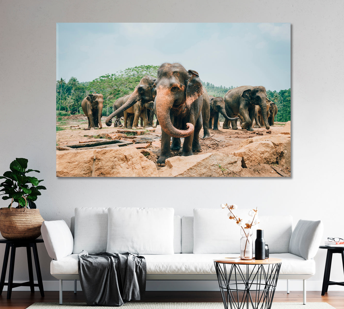 Sri Lankan Elephants Canvas Print-Canvas Print-CetArt-1 Panel-24x16 inches-CetArt