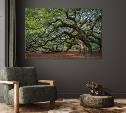 Oak Tree Canvas Print-Canvas Print-CetArt-1 Panel-24x16 inches-CetArt