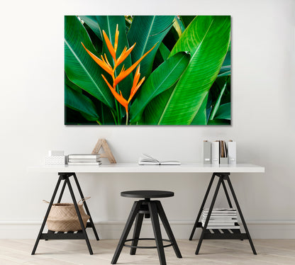 Strelitzia Bird Of Paradise Flower Canvas Print-Canvas Print-CetArt-1 Panel-24x16 inches-CetArt