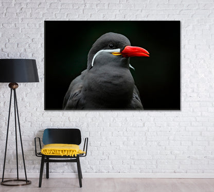 Black Tern Bird with Red Beak Canvas Print-Canvas Print-CetArt-1 Panel-24x16 inches-CetArt