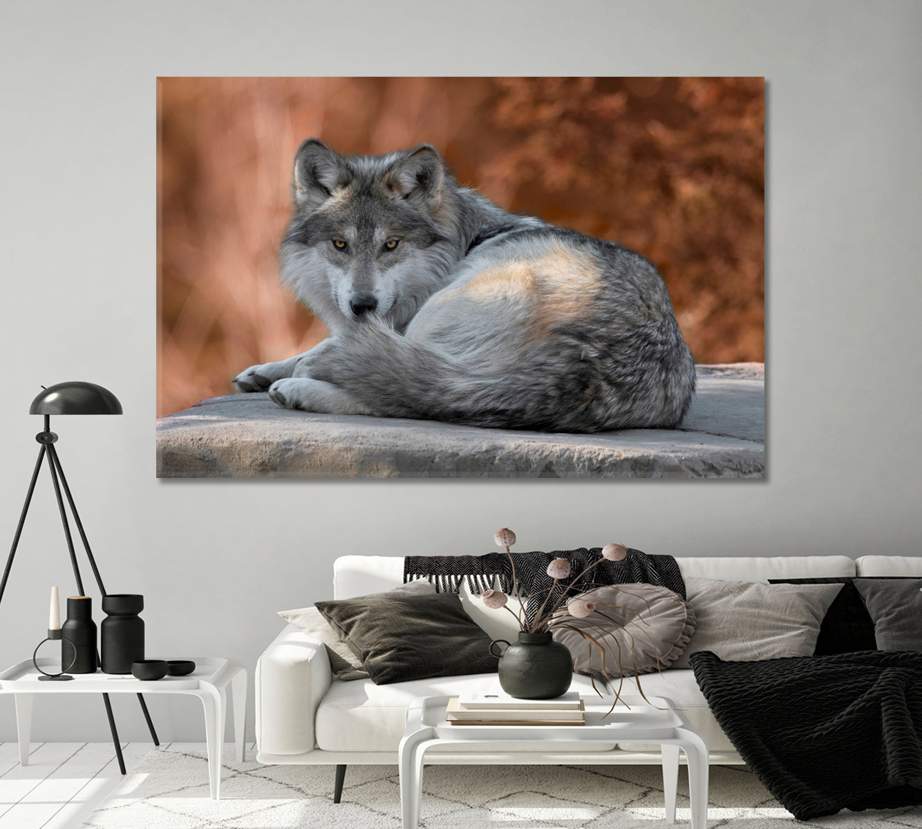 Mexican Gray Wolf Canvas Print-Canvas Print-CetArt-1 Panel-24x16 inches-CetArt