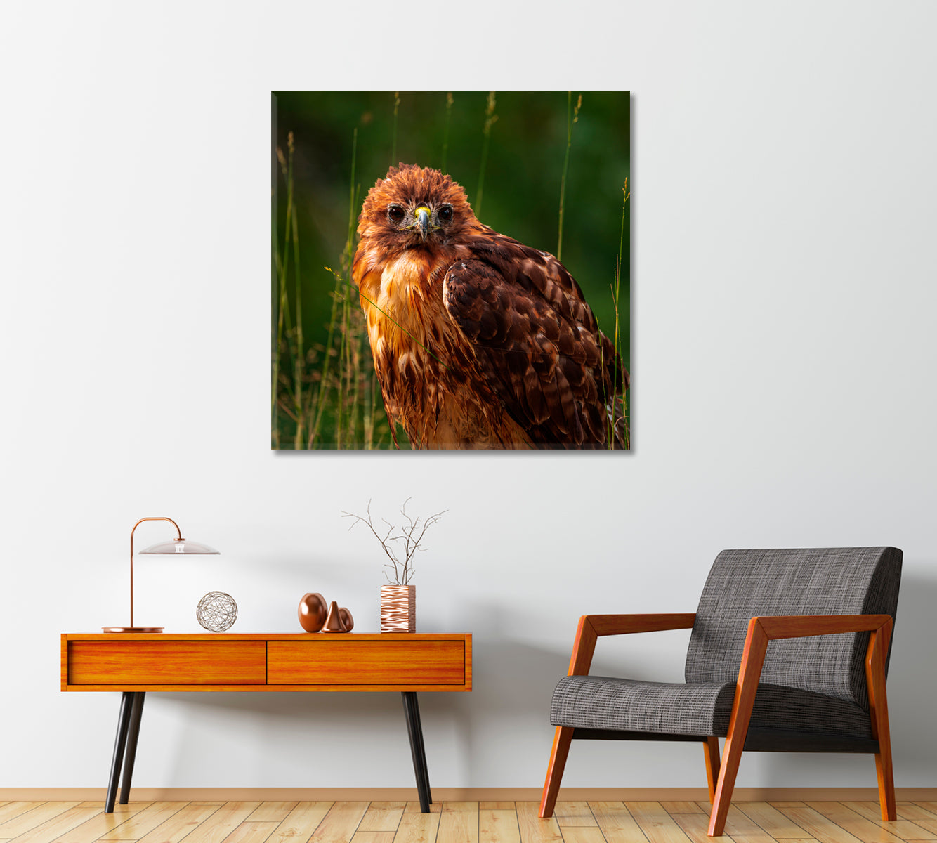 Red-tailed Hawk Canvas Print-Canvas Print-CetArt-1 panel-12x12 inches-CetArt