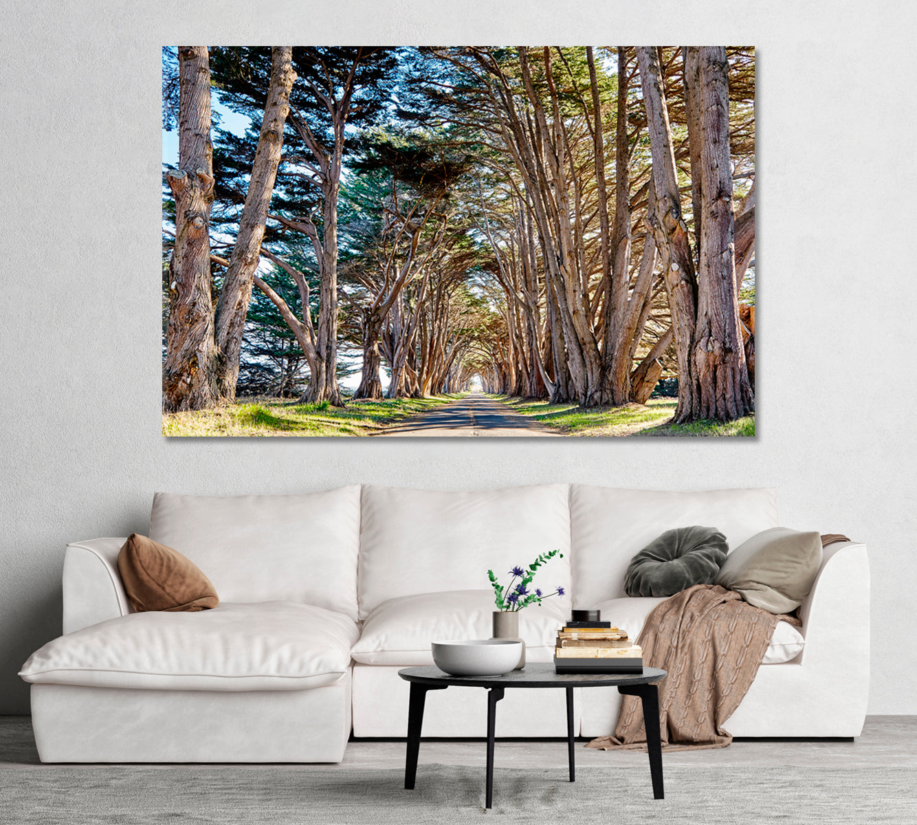 Tree Tunnel at California USA Canvas Print-Canvas Print-CetArt-1 Panel-24x16 inches-CetArt