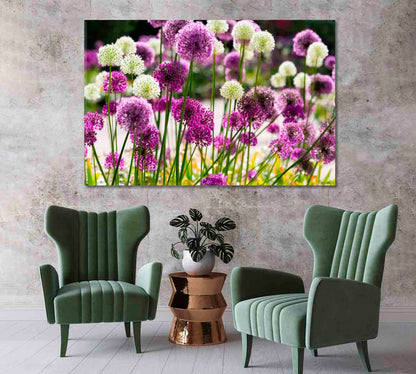 Beautiful Allium Bloom Canvas Print-Canvas Print-CetArt-1 Panel-24x16 inches-CetArt