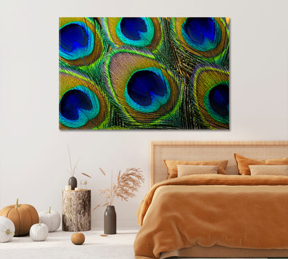 Colorful Peacock Feathers Canvas Print-Canvas Print-CetArt-1 Panel-24x16 inches-CetArt