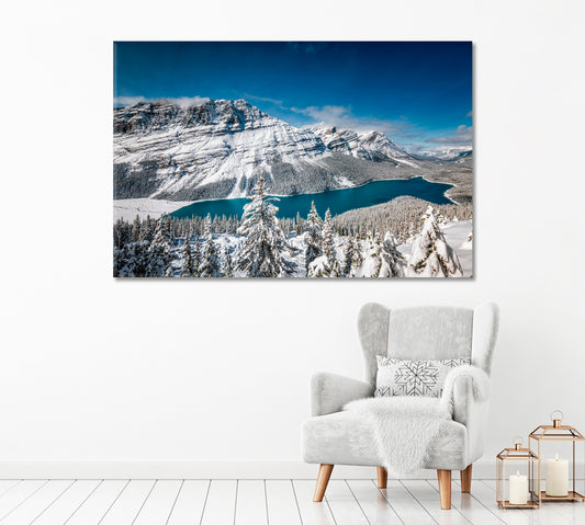 Peyto Lake in Winter in Banff National Park Canada Canvas Print-Canvas Print-CetArt-1 Panel-24x16 inches-CetArt