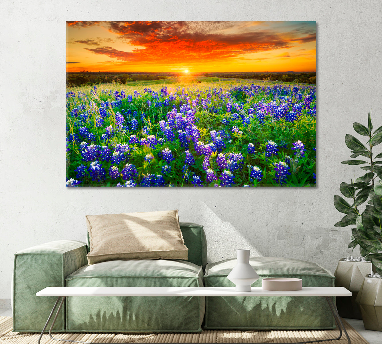 Bluebonnets Field at Sunset Texas Canvas Print-Canvas Print-CetArt-1 Panel-24x16 inches-CetArt