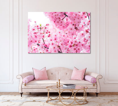 Blooming Japanese Sakura Canvas Print-Canvas Print-CetArt-1 Panel-24x16 inches-CetArt