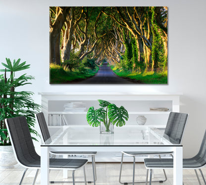 Dark Hedges Northern Ireland Canvas Print-Canvas Print-CetArt-1 Panel-24x16 inches-CetArt