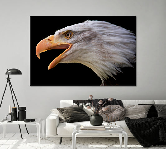 Portrait of Bald Eagle Canvas Print-Canvas Print-CetArt-1 Panel-24x16 inches-CetArt