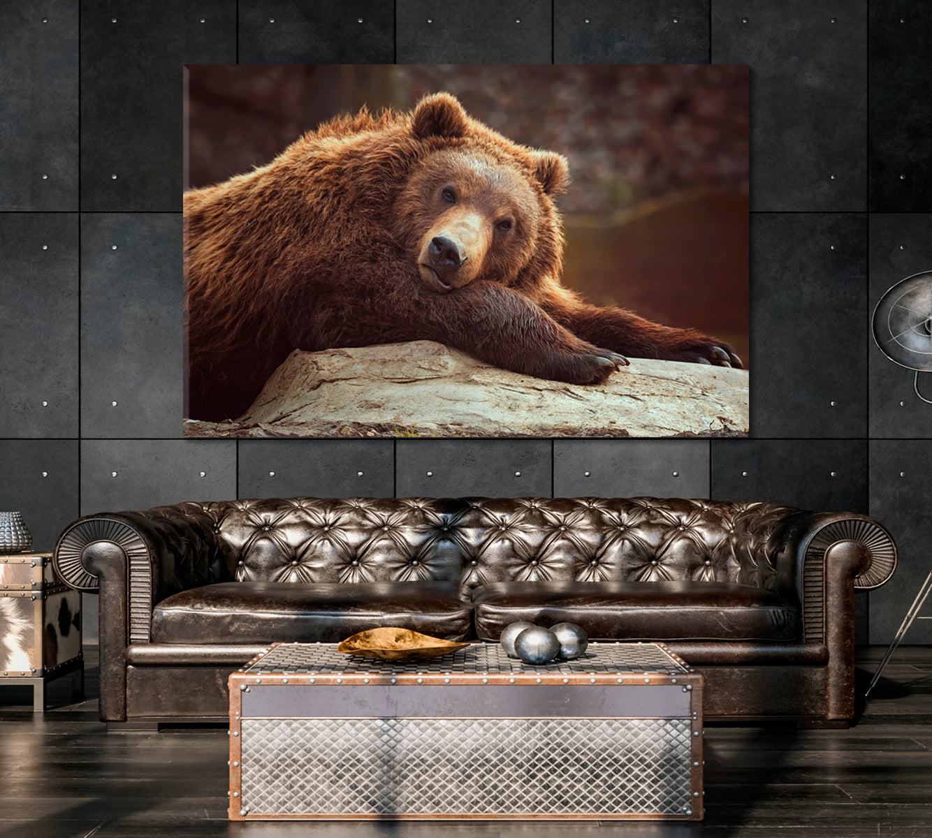 Brown Bear Canvas Print-Canvas Print-CetArt-1 Panel-24x16 inches-CetArt