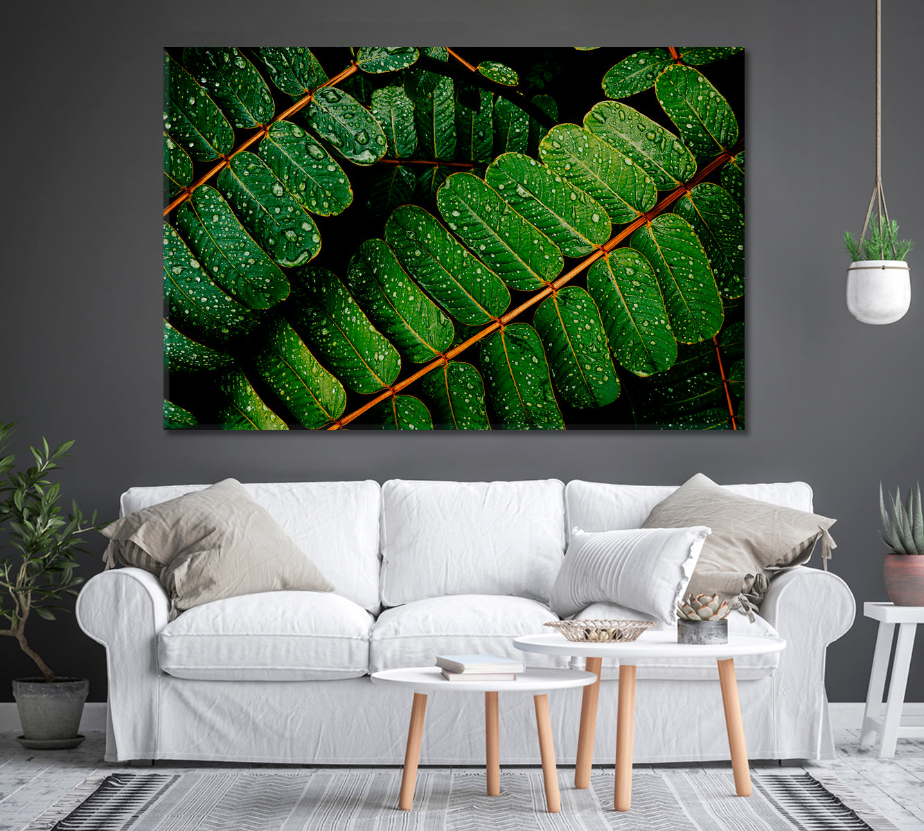 Green Leaves with Water Drops Canvas Print-Canvas Print-CetArt-1 Panel-24x16 inches-CetArt