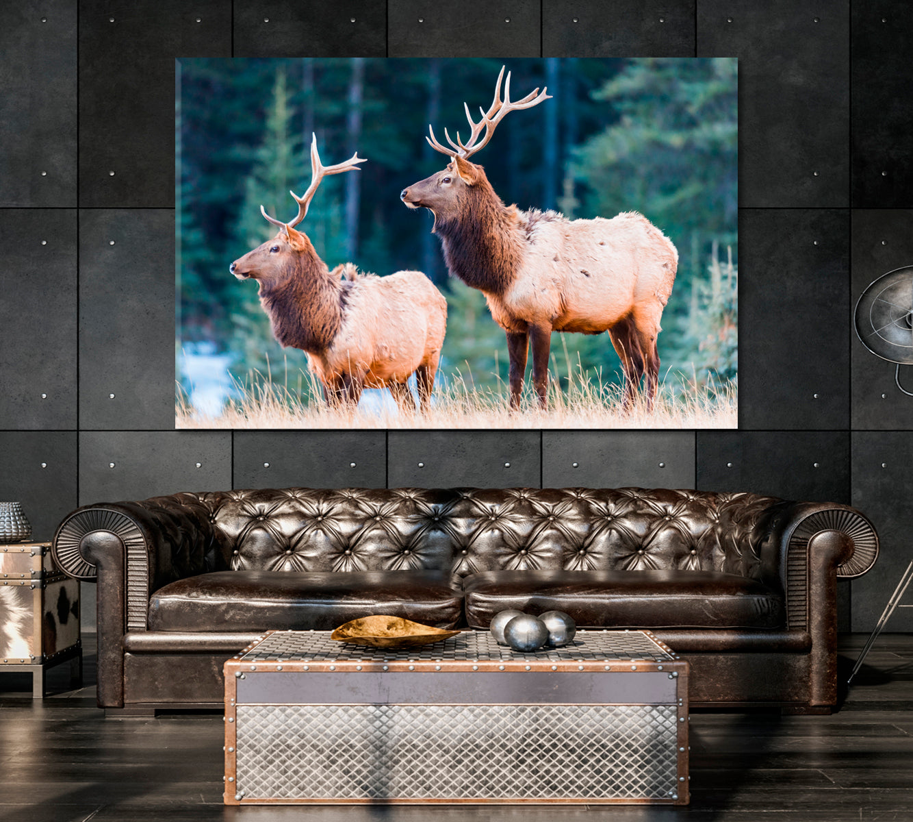 Wild Elks Canvas Print-Canvas Print-CetArt-1 Panel-24x16 inches-CetArt