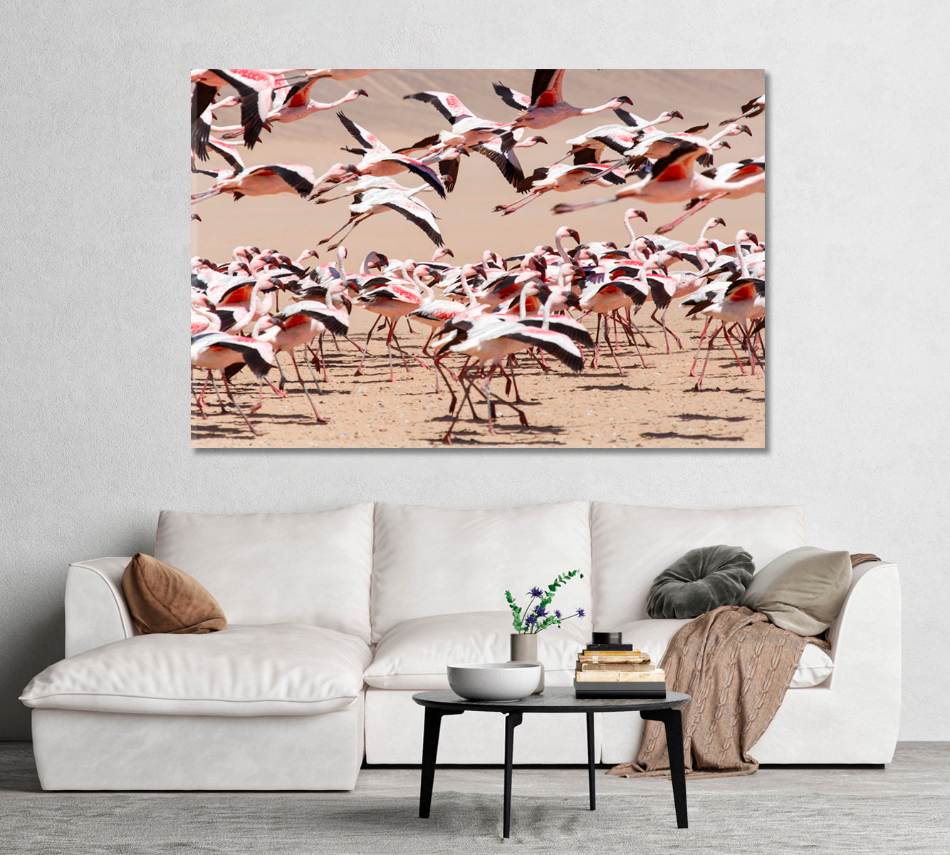 Flamingo Bird Namibia Africa Canvas Print-Canvas Print-CetArt-1 Panel-24x16 inches-CetArt