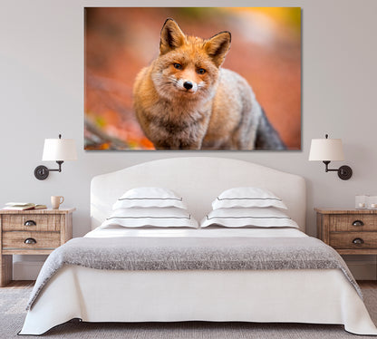 Red Furry Fox Canvas Print-Canvas Print-CetArt-1 Panel-24x16 inches-CetArt