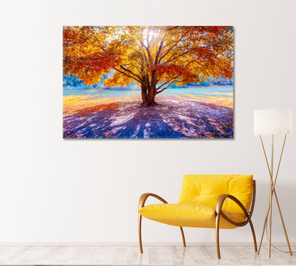 Beautiful Big Tree in Autumn Canvas Print-Canvas Print-CetArt-1 Panel-24x16 inches-CetArt