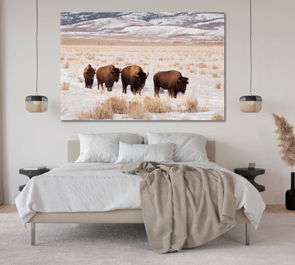 Bison Herd In Winter Canvas Print-Canvas Print-CetArt-1 Panel-24x16 inches-CetArt