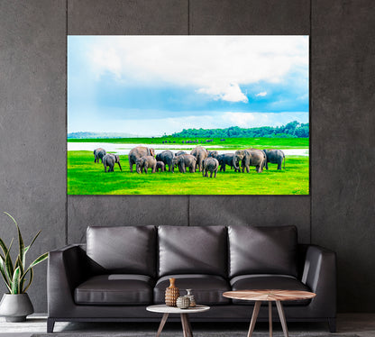 Herd of Elephants in Kaudulla National Park Sri Lanka Canvas Print-Canvas Print-CetArt-1 Panel-24x16 inches-CetArt