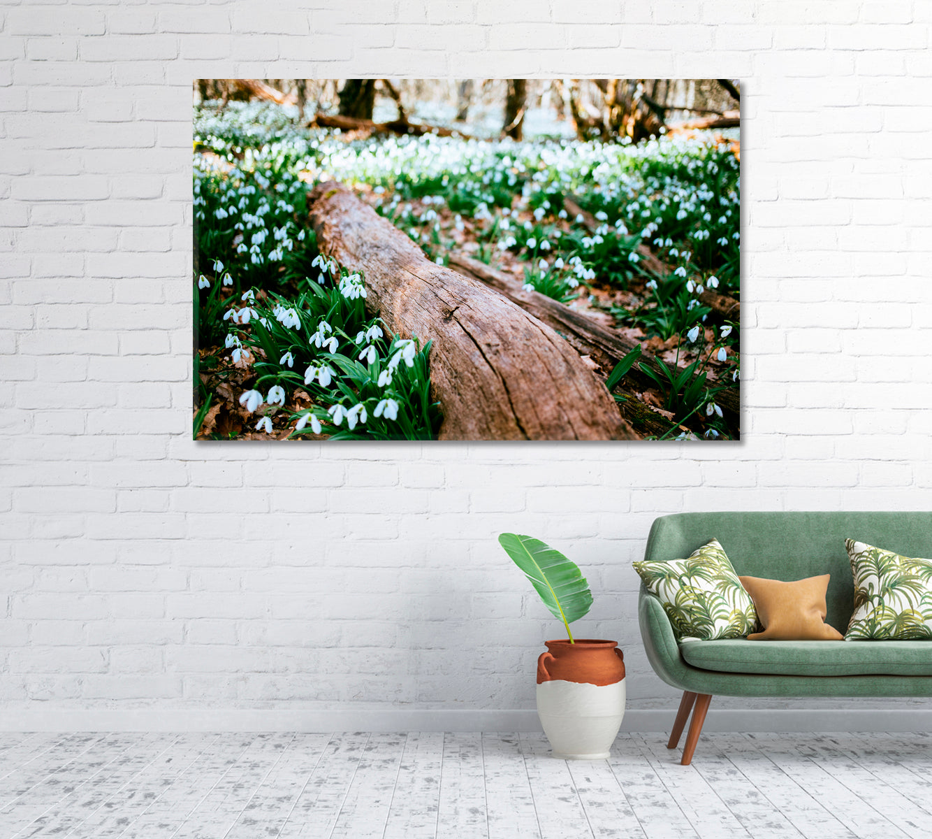 Snowdrops in Forest Canvas Print-Canvas Print-CetArt-1 Panel-24x16 inches-CetArt