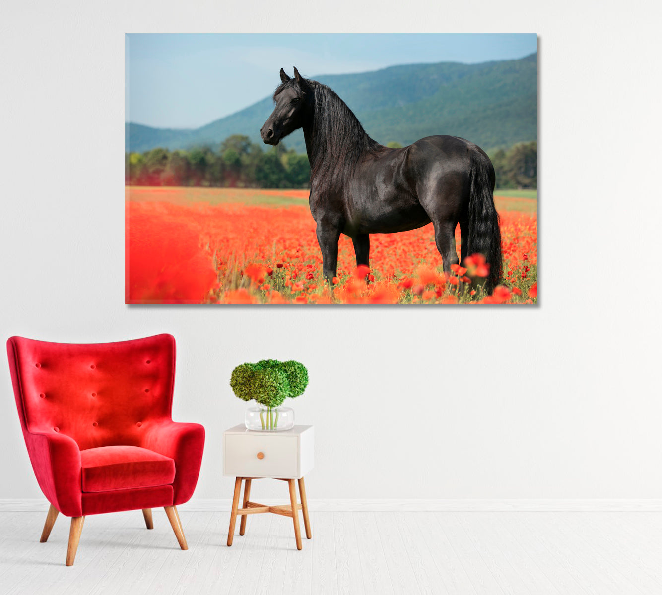 Black Arabian Horse in Poppy Field Canvas Print-Canvas Print-CetArt-1 Panel-24x16 inches-CetArt