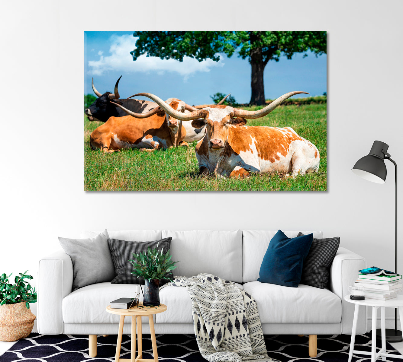 Texas Longhorn Cattle Canvas Print-Canvas Print-CetArt-1 Panel-24x16 inches-CetArt