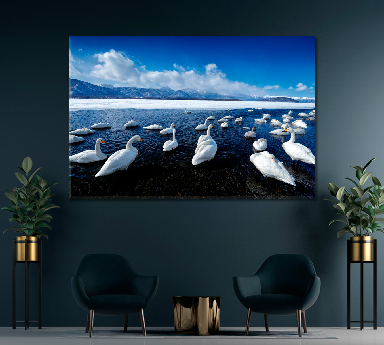 Swans at Lake Kussharo Hokkaido Japan Canvas Print-Canvas Print-CetArt-1 Panel-24x16 inches-CetArt