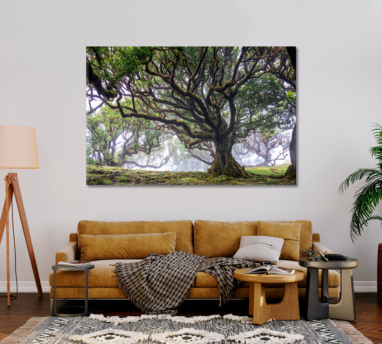 Laurel Tree in Laurisilva Forest Madeira Island Portugal Canvas Print-Canvas Print-CetArt-1 Panel-24x16 inches-CetArt