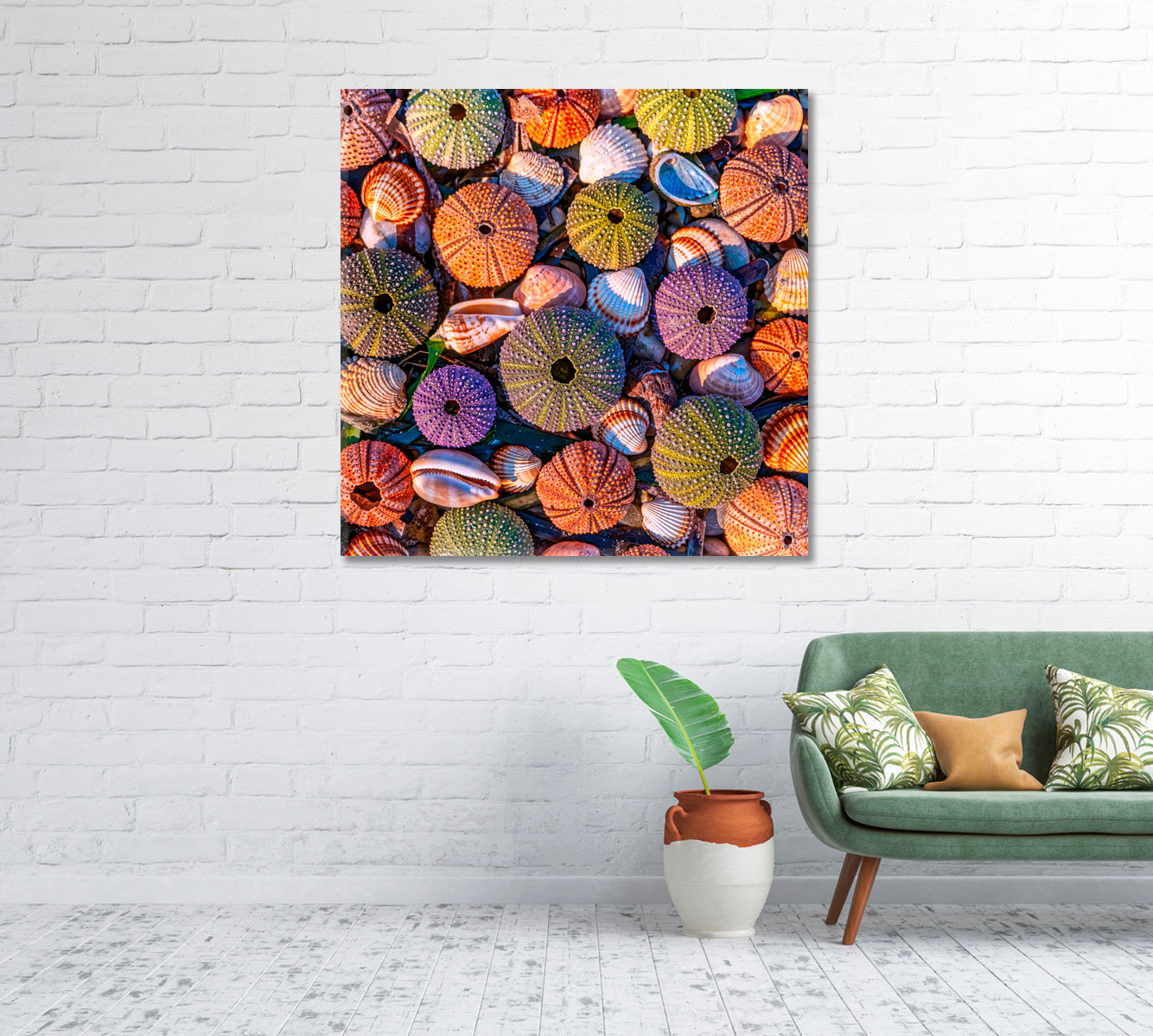 Sea Urchins Canvas Print-Canvas Print-CetArt-1 panel-12x12 inches-CetArt