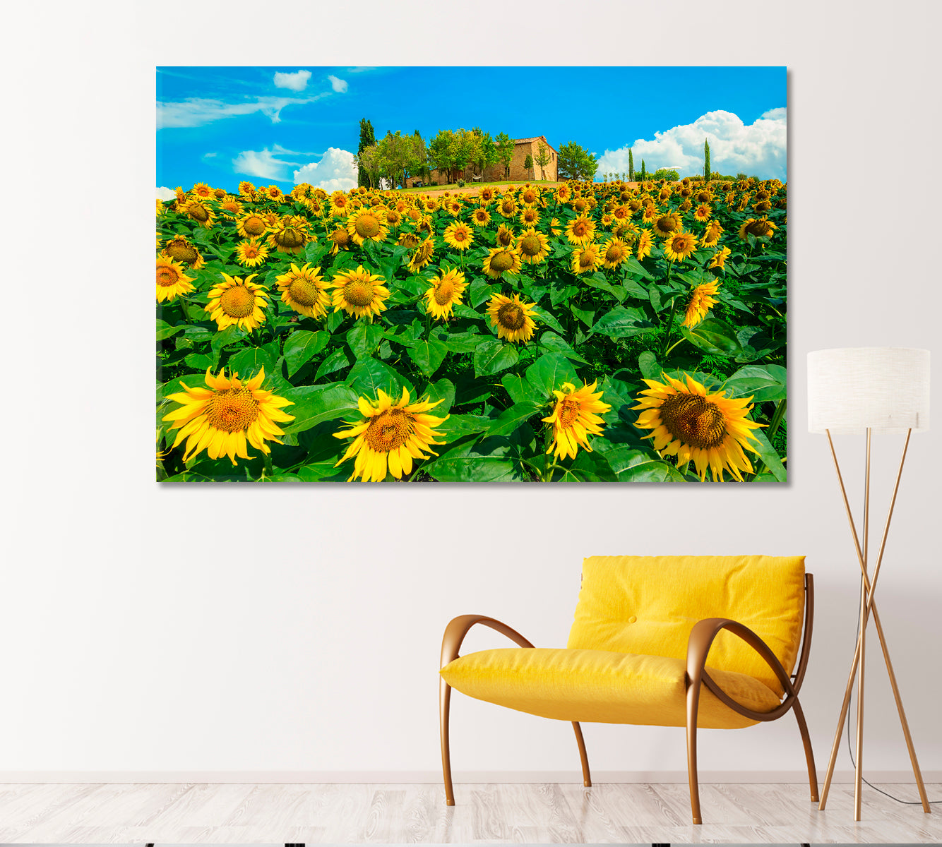 Sunflowers Field Canvas Print-Canvas Print-CetArt-1 Panel-24x16 inches-CetArt