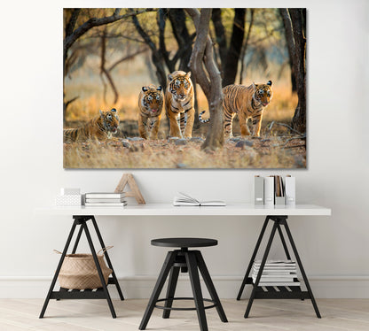 Tiger Family at Ranthambore National Park India Canvas Print-Canvas Print-CetArt-1 Panel-24x16 inches-CetArt