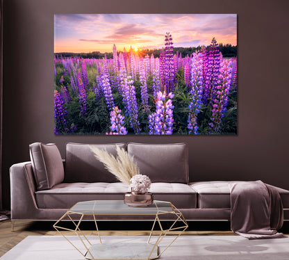 Summer Sunset over Field with Blooming Lupins Canvas Print-Canvas Print-CetArt-1 Panel-24x16 inches-CetArt