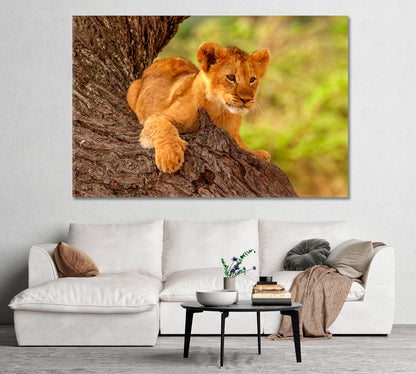 Cute Wild Lion Cub Resting on a Tree Canvas Print-Canvas Print-CetArt-1 Panel-24x16 inches-CetArt