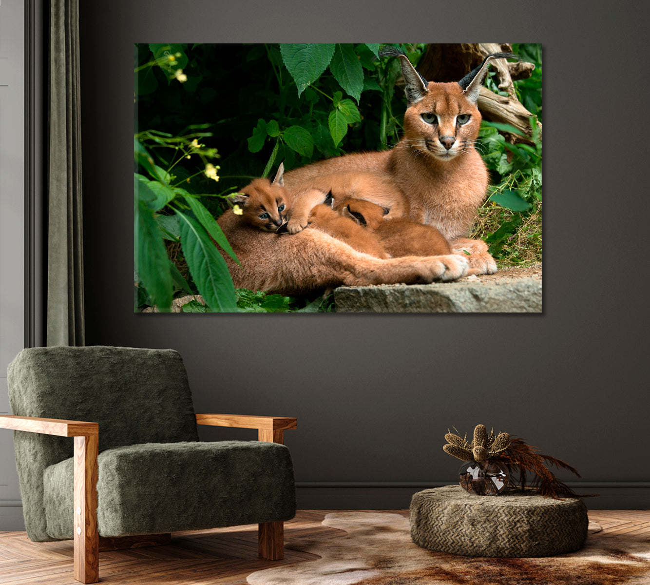 Caracal Family Canvas Print-Canvas Print-CetArt-1 Panel-24x16 inches-CetArt