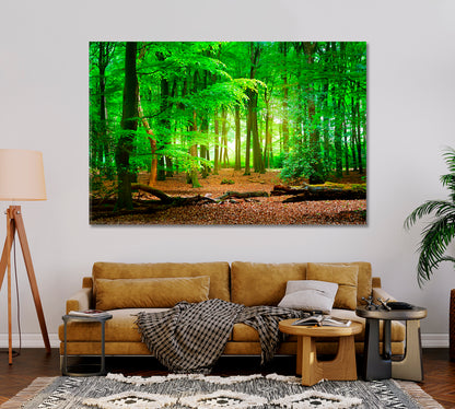 Mysterious Green Forest Veluwe Netherlands Canvas Print-Canvas Print-CetArt-1 Panel-24x16 inches-CetArt