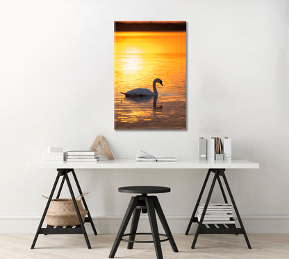 Swan on Calm Lake at Golden Sunrise Canvas Print-Canvas Print-CetArt-1 panel-16x24 inches-CetArt