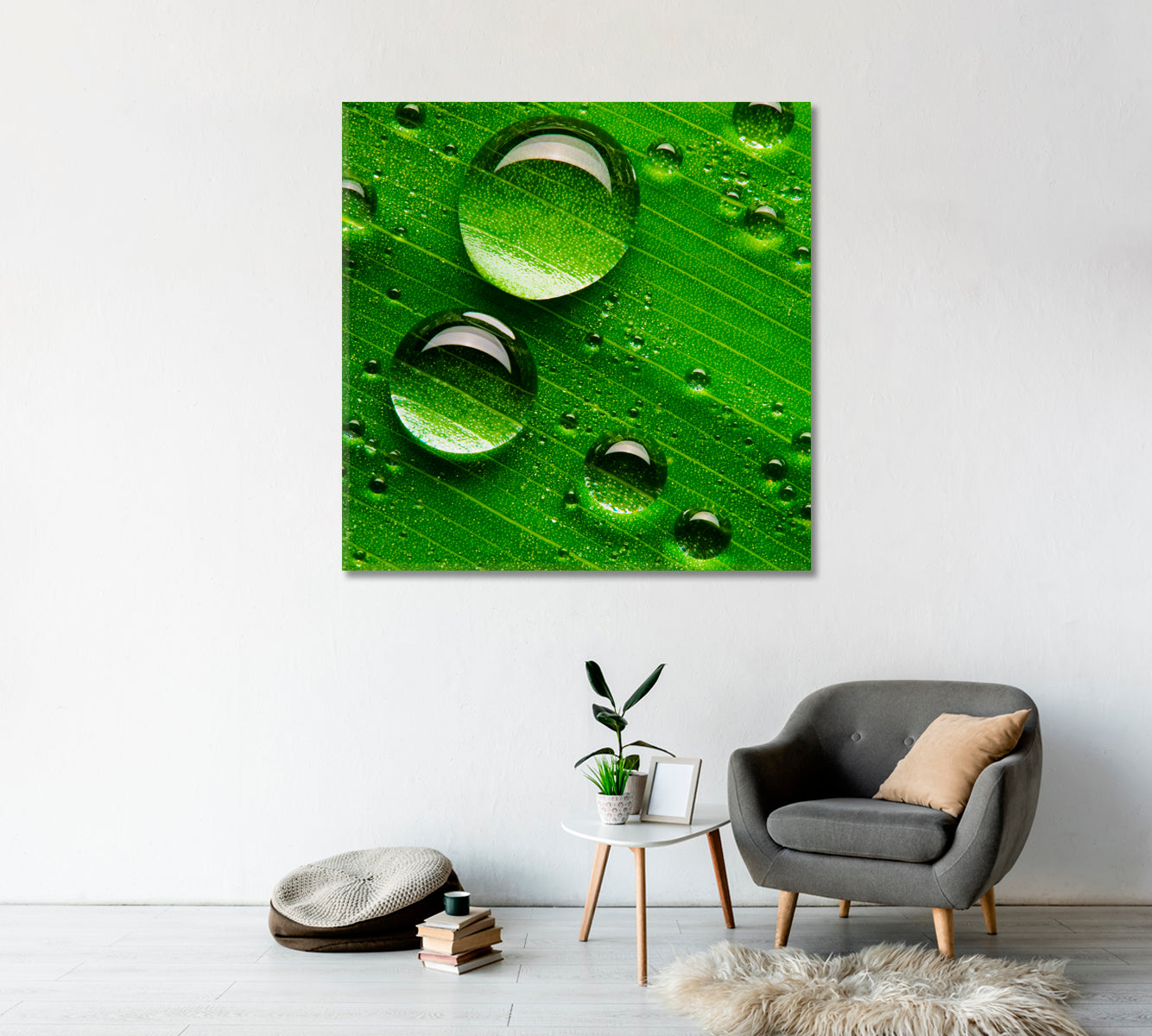 Water Droplets on Green Leaf Canvas Print-Canvas Print-CetArt-1 panel-12x12 inches-CetArt