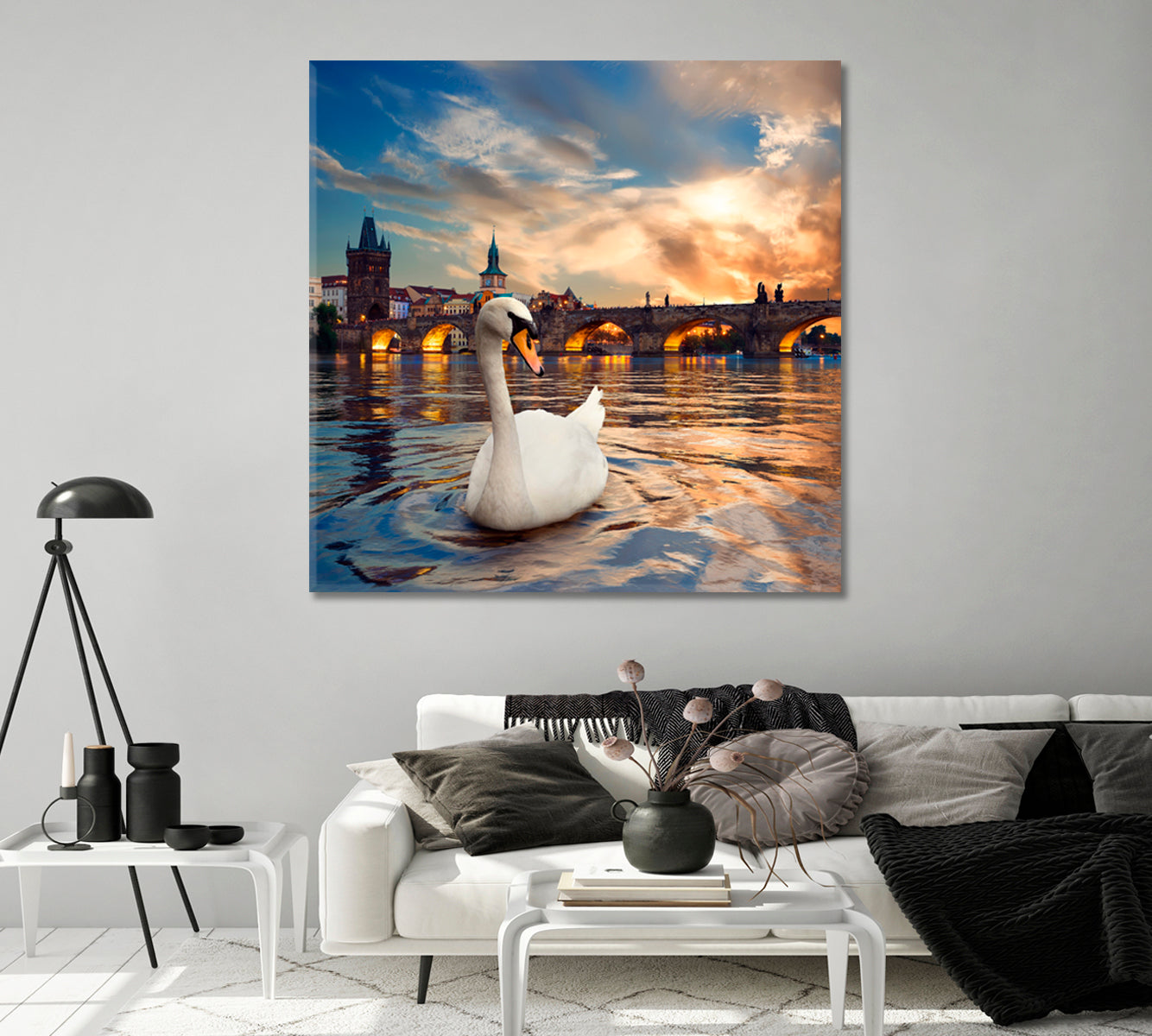 Swan in Vltava River in Prague Canvas Print-Canvas Print-CetArt-1 panel-12x12 inches-CetArt