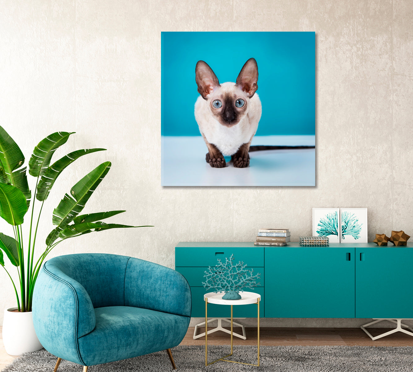 Cornish Rex Kitten Canvas Print-Canvas Print-CetArt-1 panel-12x12 inches-CetArt