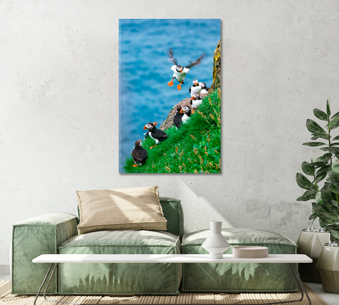 Atlantic Puffins Faroe Islands Canvas Print-Canvas Print-CetArt-1 panel-16x24 inches-CetArt