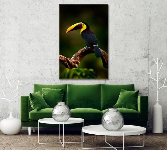 Yellow Throated Toucan Canvas Print-Canvas Print-CetArt-1 panel-16x24 inches-CetArt