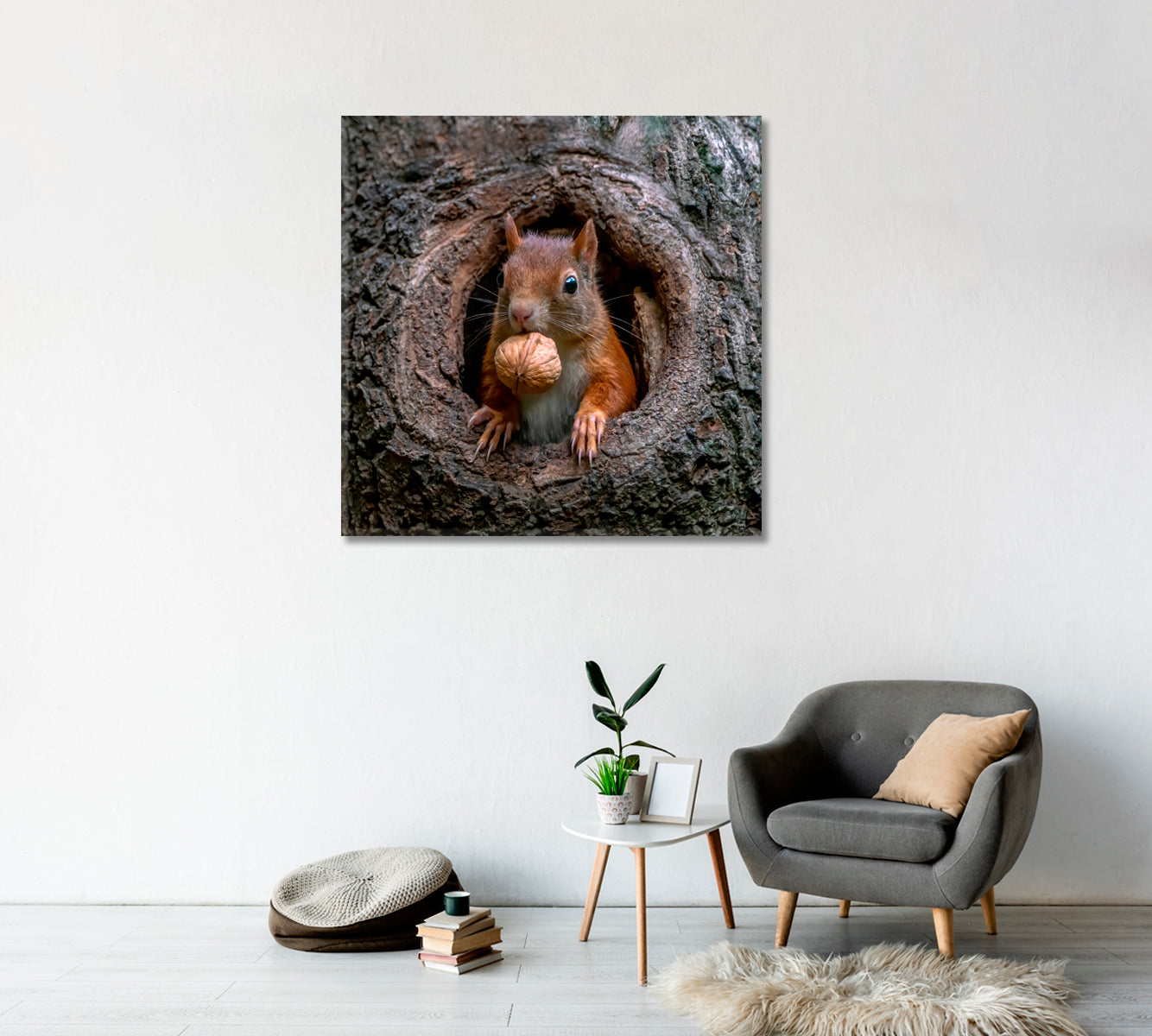 Red Squirrel in Tree Hollow With Walnut Canvas Print-Canvas Print-CetArt-1 panel-12x12 inches-CetArt