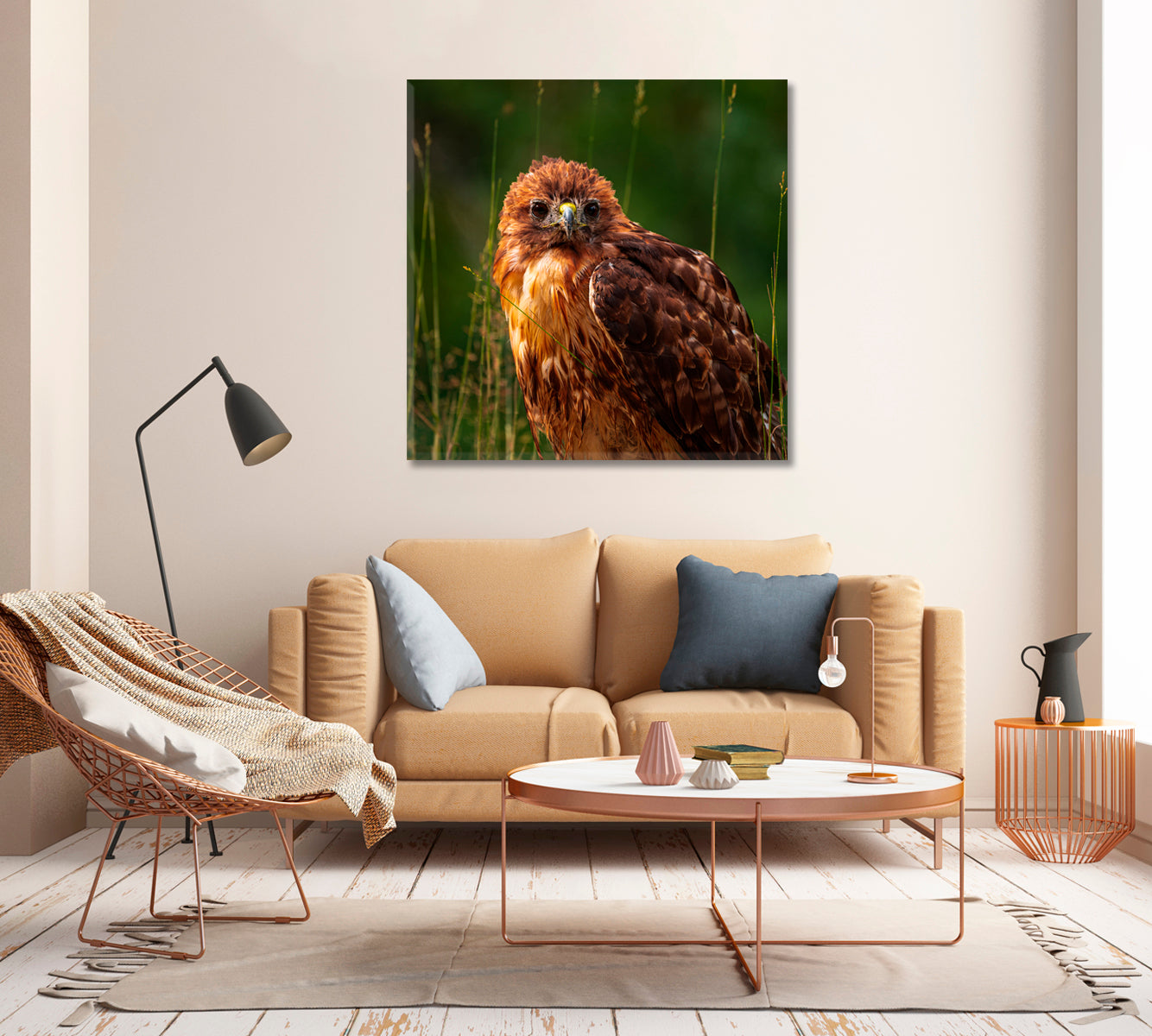 Red-tailed Hawk Canvas Print-Canvas Print-CetArt-1 panel-12x12 inches-CetArt