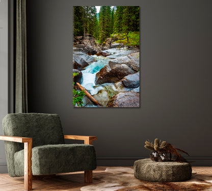 Mountain Stream Through Forest Canvas Print-Canvas Print-CetArt-1 panel-16x24 inches-CetArt