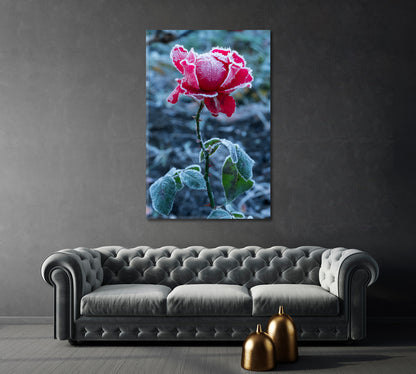 Frosty Red Rose Canvas Print-Canvas Print-CetArt-1 panel-16x24 inches-CetArt