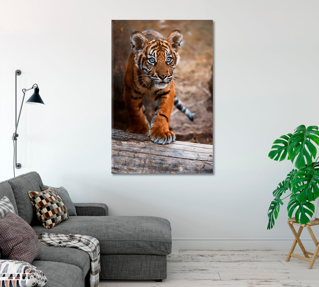 Sumatran Tiger Cub Canvas Print-Canvas Print-CetArt-1 panel-16x24 inches-CetArt