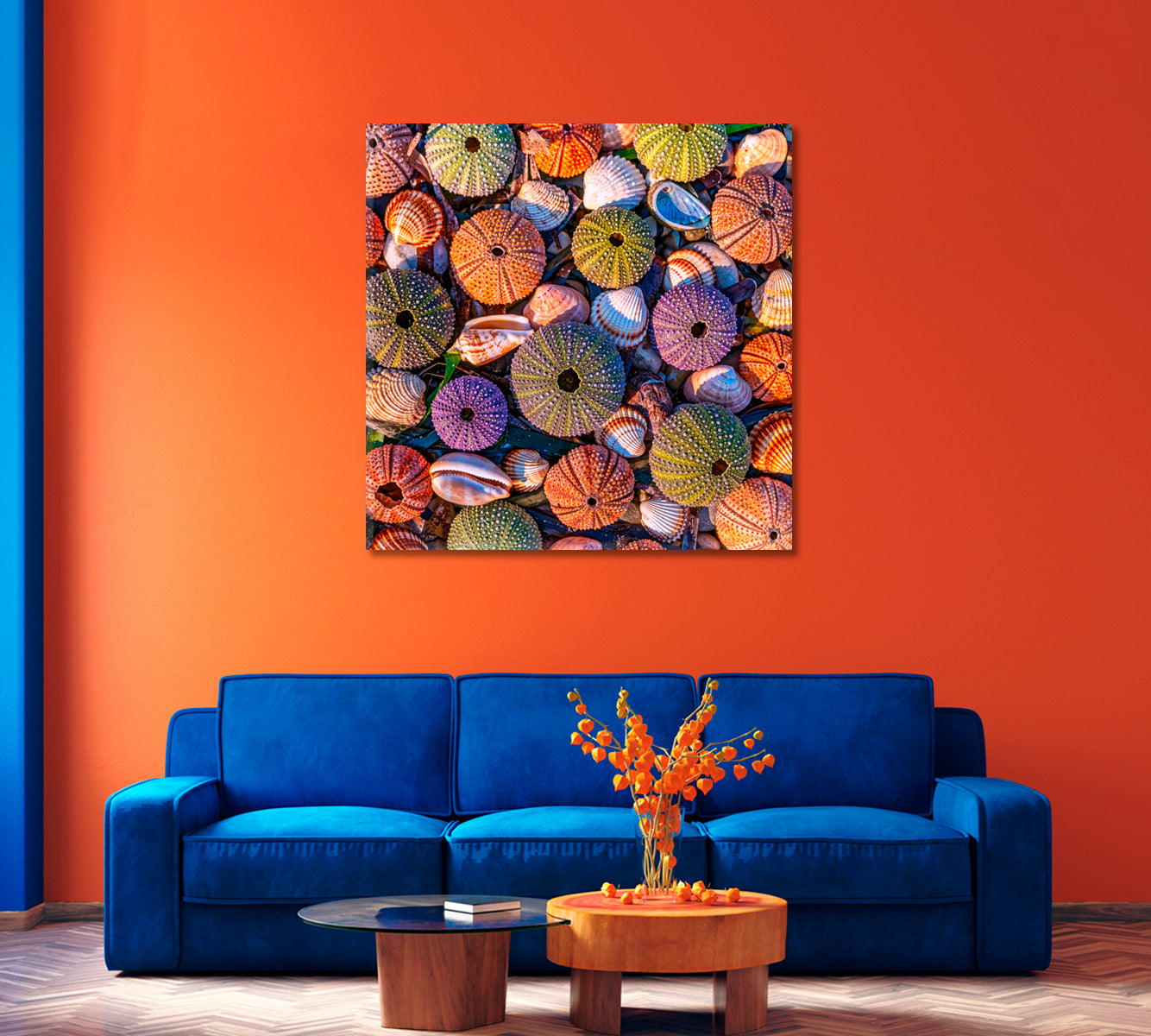 Sea Urchins Canvas Print-Canvas Print-CetArt-1 panel-12x12 inches-CetArt