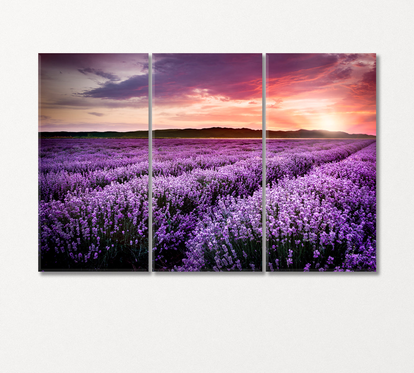 Lavender Field under the Summer Sunset Canvas Print-Canvas Print-CetArt-3 Panels-36x24 inches-CetArt