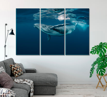 Baby Whale Surface Ocean Canvas Print-Canvas Print-CetArt-1 Panel-24x16 inches-CetArt