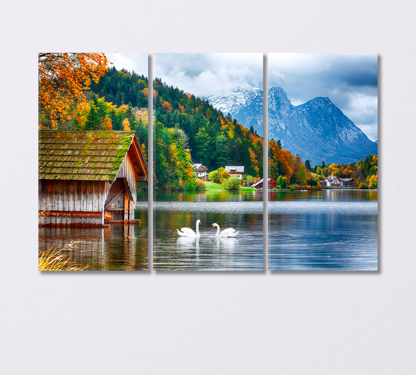 Two White Swans on Lake Grundlsee Switzerland Canvas Print-Canvas Print-CetArt-1 Panel-24x16 inches-CetArt